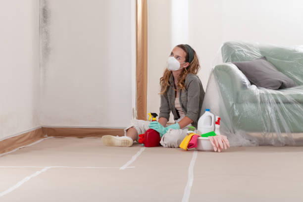 Reliable Mold Cleanup contractor in Magnolia, TX by Cheap Mold Removal